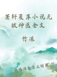 萧轩夏萍小说无敌神医全文