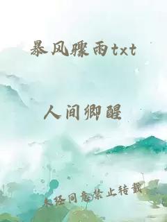 暴风骤雨txt