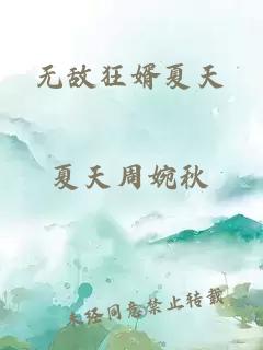 无敌狂婿夏天