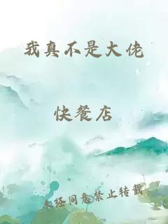 我真不是大佬