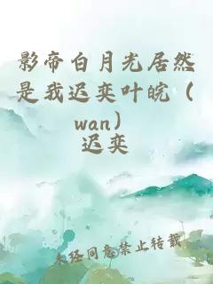 影帝白月光居然是我迟奕叶皖（wan）