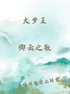 大梦王