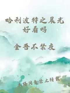 哈利波特之晨光好看吗