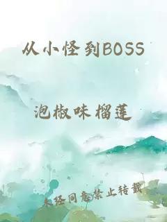 从小怪到BOSS