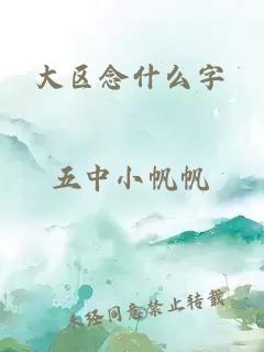 大区念什么字