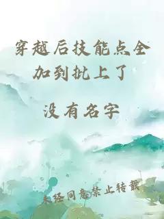 穿越后技能点全加到批上了