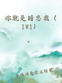 你就是暗恋我（1V1）