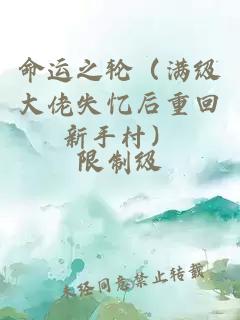 命运之轮（满级大佬失忆后重回新手村）