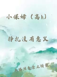 小保姆（高h）