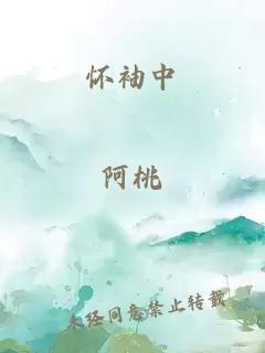 怀袖中
