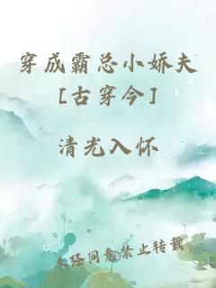 穿成霸总小娇夫[古穿今]